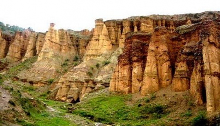 Bosque de Piedra de Torre Torre