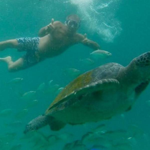 Tour nado con tortugas en El Ñuro 