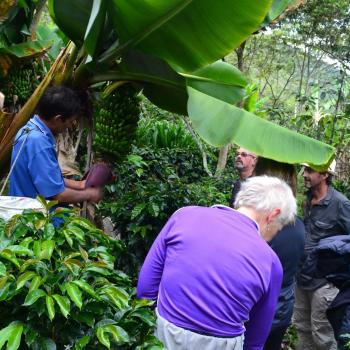 Por la ruta del Café a Machu Picchu en 3 Dí­as 2 noches