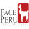Perú Surf Guides