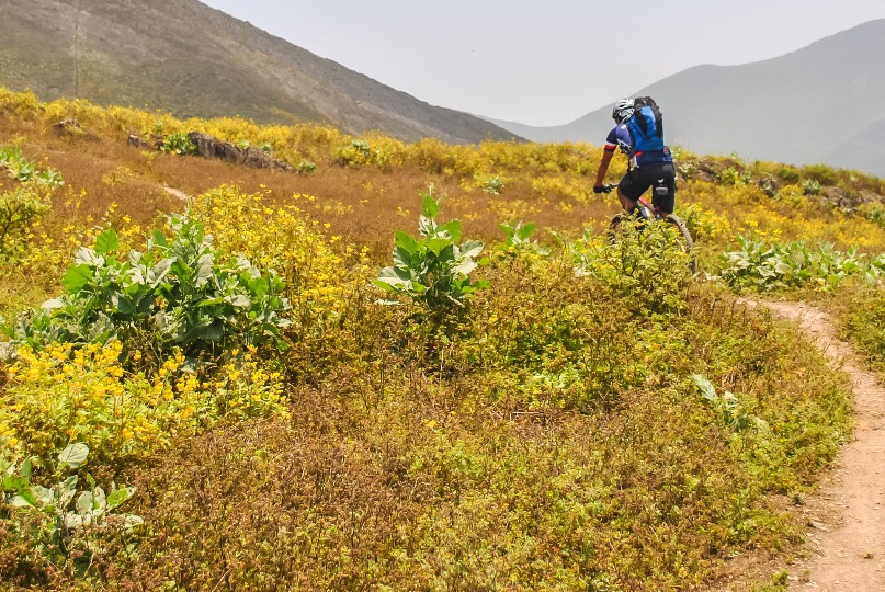 Touching the immensity of the horizon - Imagen 7