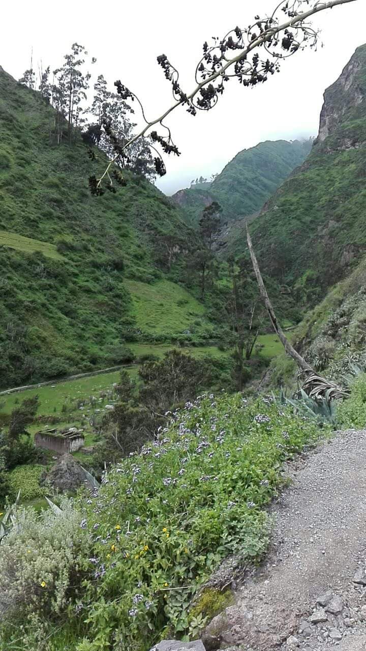 Antankallo Waterfall