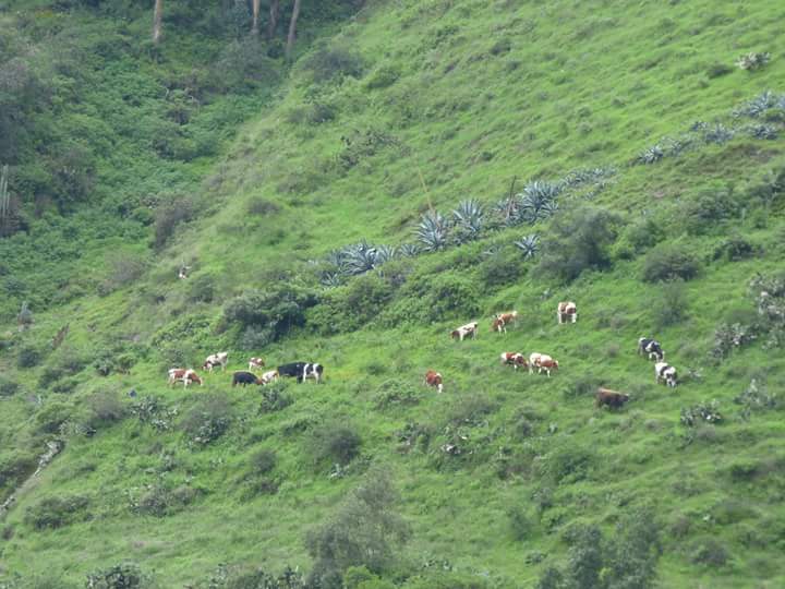 Antankallo Waterfall - Imagen 24