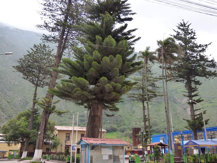 Antankallo Waterfall - Imagen 53