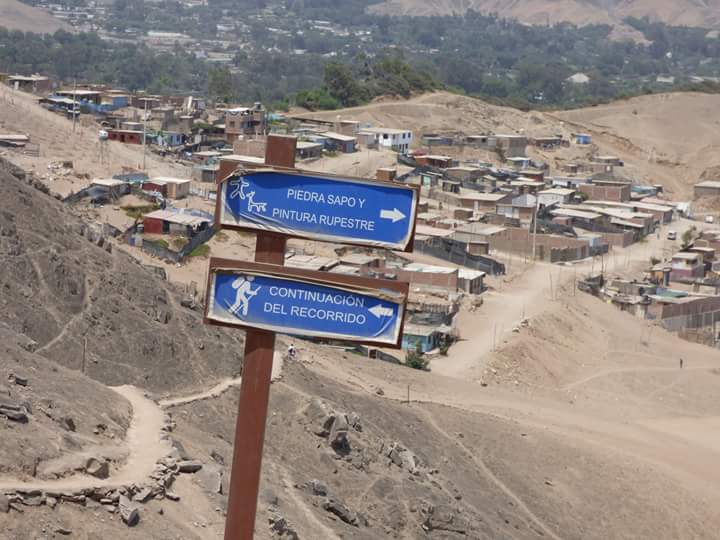 Lúcumo Hills - Imagen 20