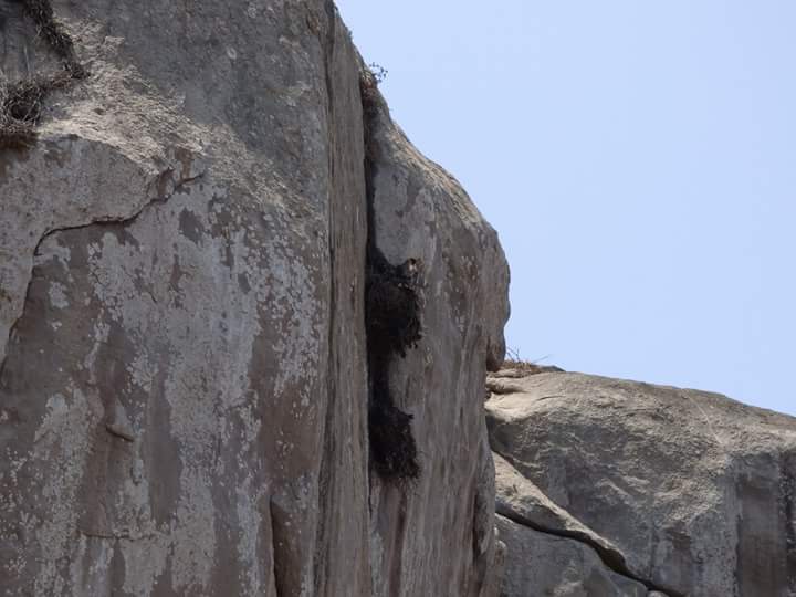 Lúcumo Hills - Imagen 24