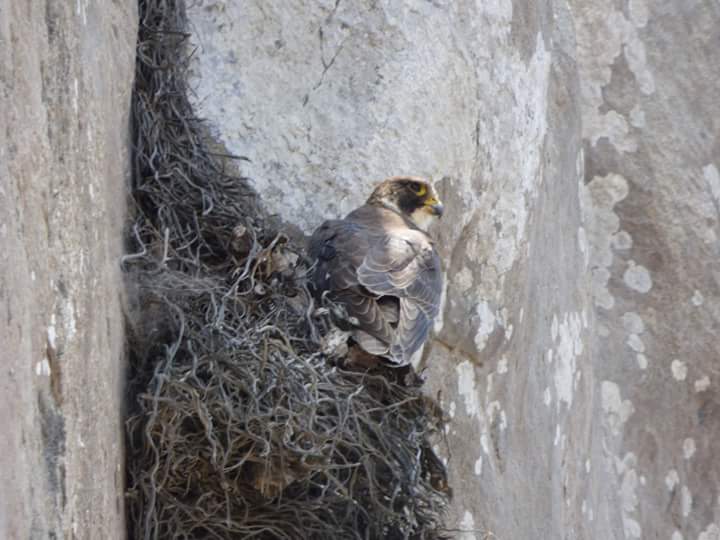 Lúcumo Hills - Imagen 26