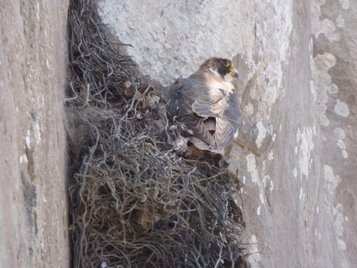 Lúcumo Hills - Imagen 27