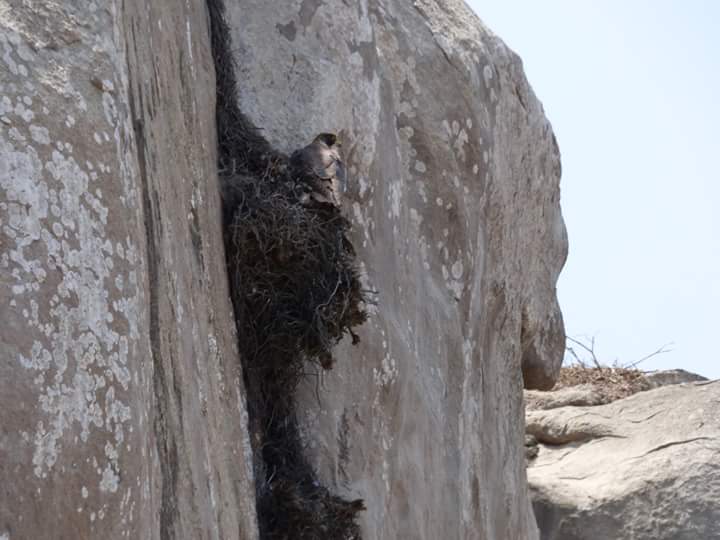 Lúcumo Hills - Imagen 28