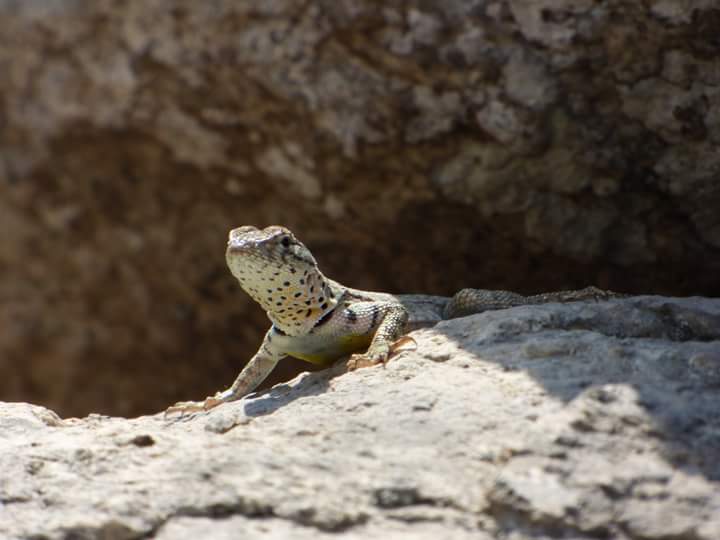 Lúcumo Hills - Imagen 32