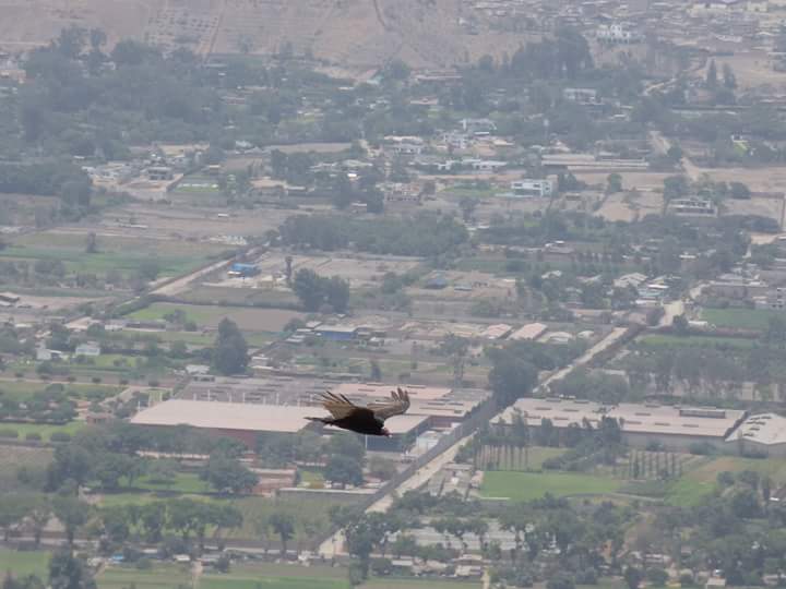 Lúcumo Hills - Imagen 34