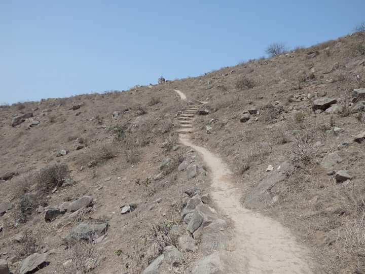 Lúcumo Hills - Imagen 45