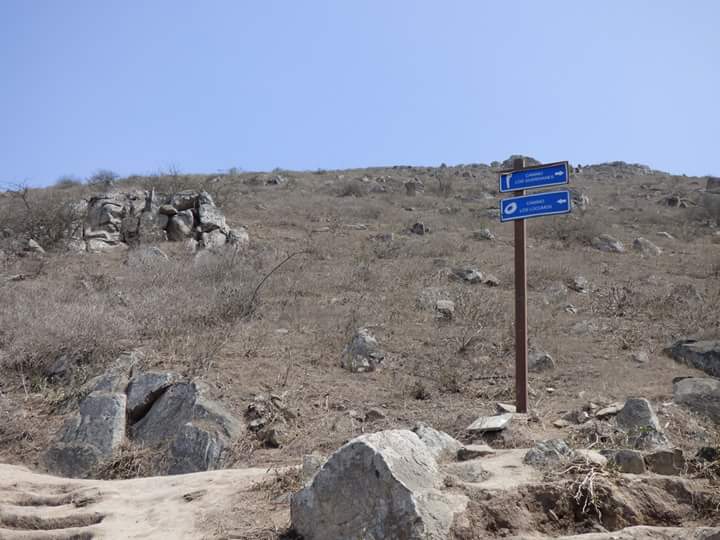 Lúcumo Hills - Imagen 47