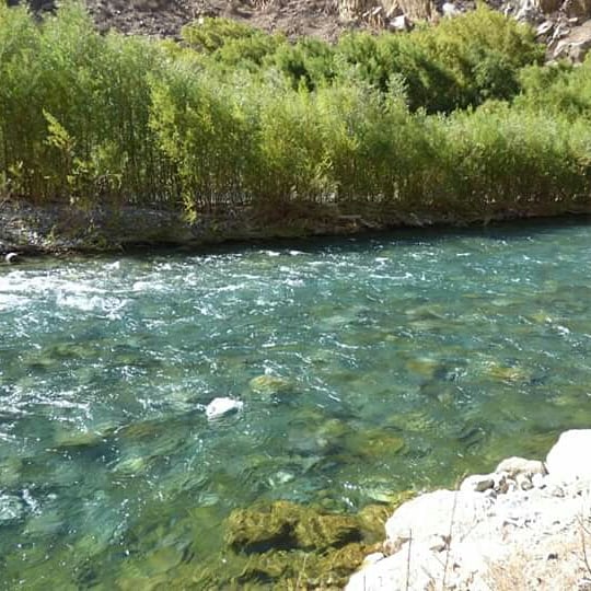 The Andean Paradise - Imagen 2