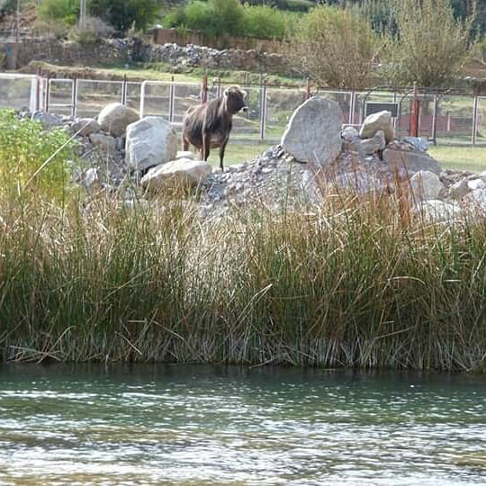 The Andean Paradise - Imagen 9