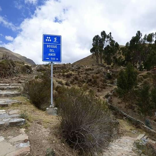 The Andean Paradise - Imagen 25