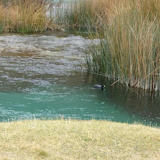 The Andean Paradise - Imagen 26