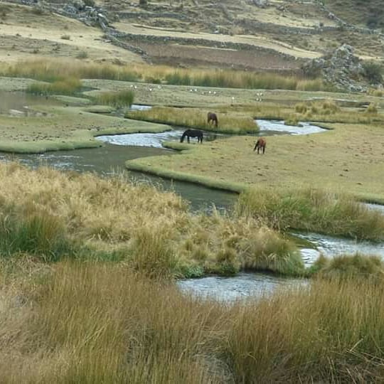 The Andean Paradise - Imagen 35