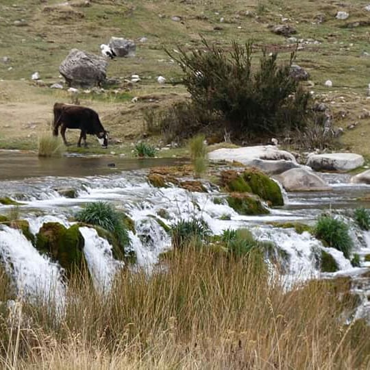 The Andean Paradise - Imagen 37