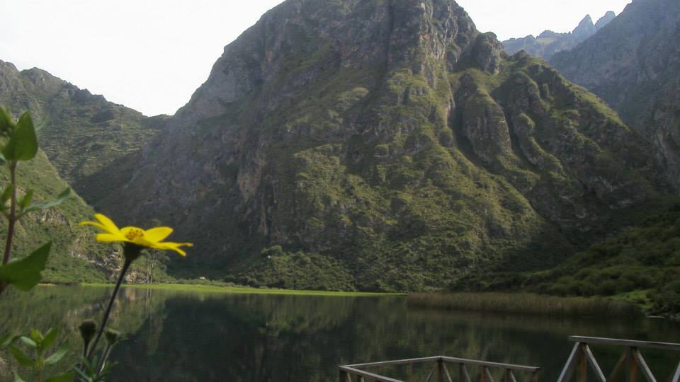 Exploring Paradise - Imagen 5