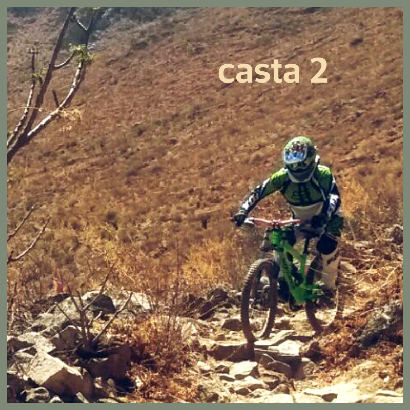 Casta 2