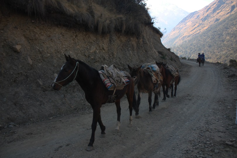 Salkantay Trek - Imagen 4