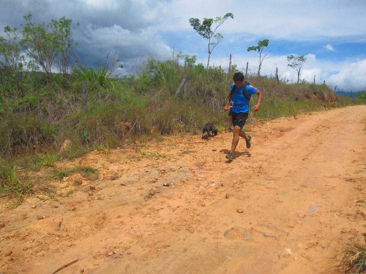Running in the Tarapoto Jungle