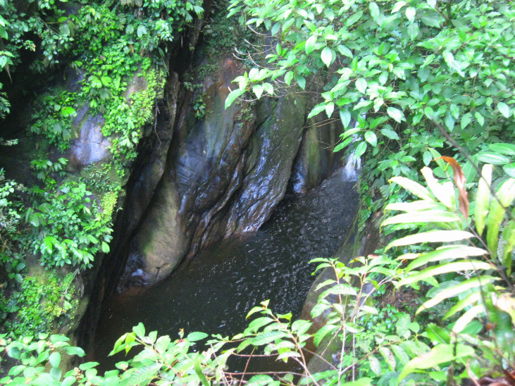 Running in the Tarapoto Jungle - Imagen 2
