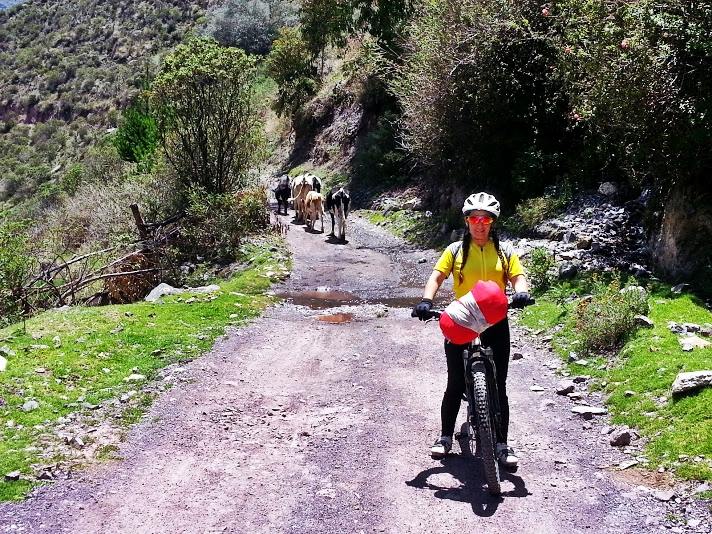 Route to Yuracmayo Dam - Imagen 5