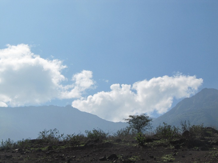 Breathing the Zarate Forest