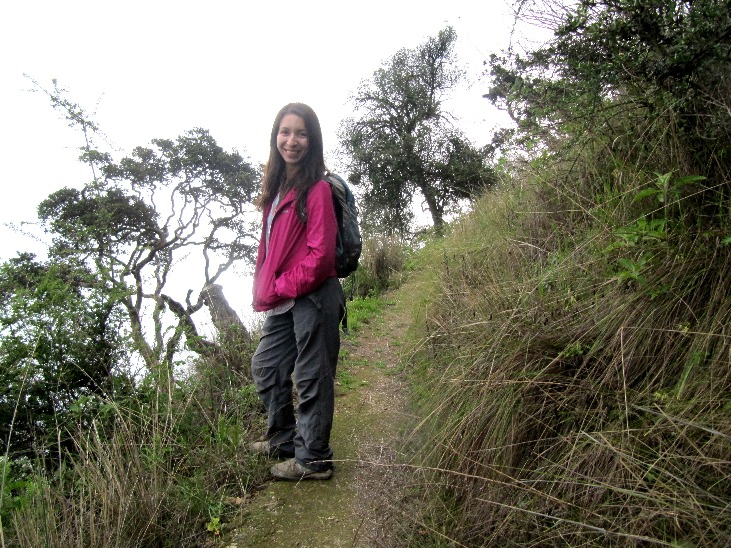 Breathing the Zarate Forest - Imagen 3