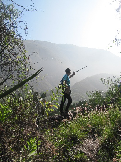 Breathing the Zarate Forest - Imagen 7