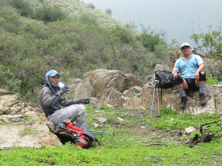 Breathing the Zarate Forest - Imagen 8