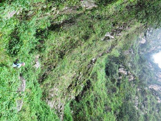 Breathing the Zarate Forest - Imagen 9