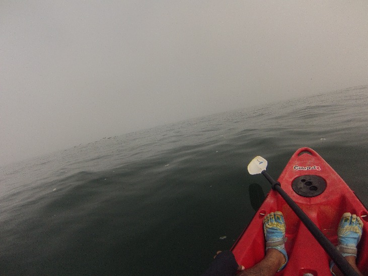 Sea Kayaking