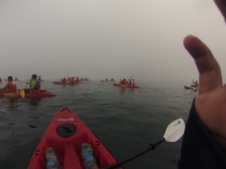 Sea Kayaking - Imagen 3