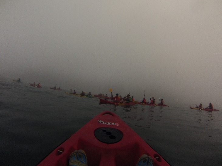 Sea Kayaking - Imagen 4