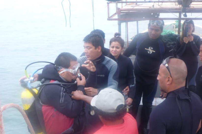 Diving in Paracas - Imagen 3
