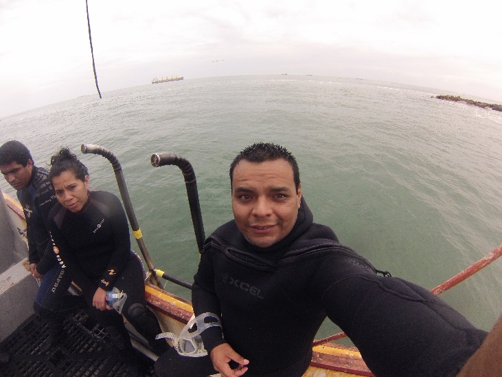 Diving in Paracas - Imagen 8