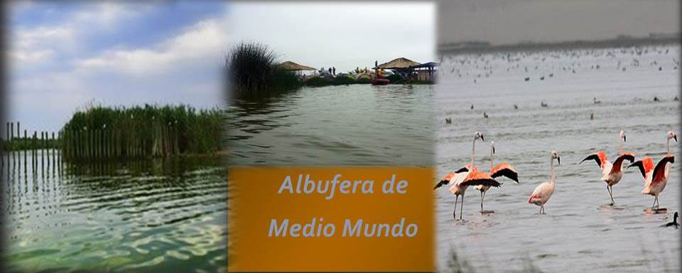 Full Day Tour to La Albufera de Medio Mundo