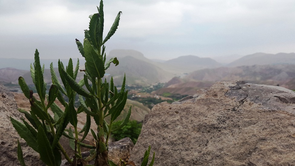 Ilubaya Torata Adventure Tour - Imagen 3