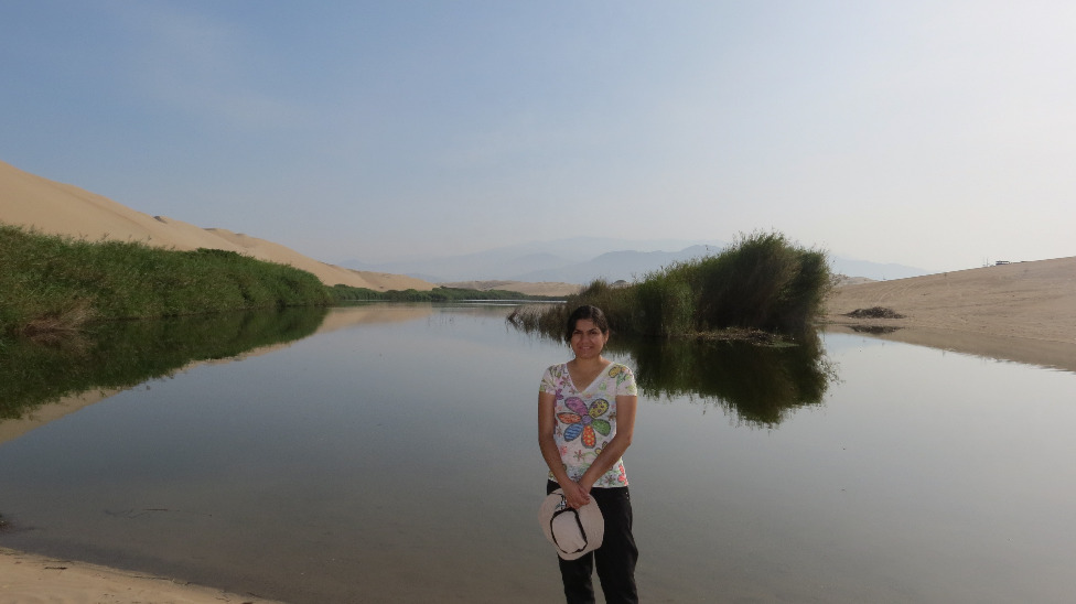 2015 Morón Oasis - Imagen 4