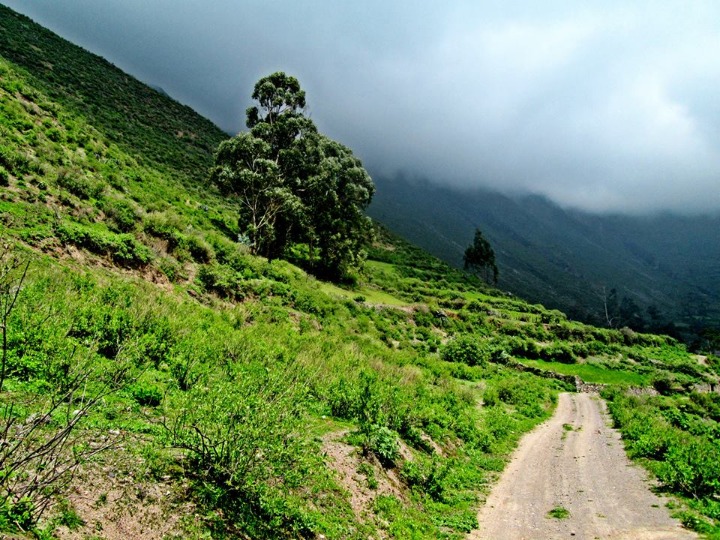 PAYHUA: PATH TO HEAVEN - Imagen 5