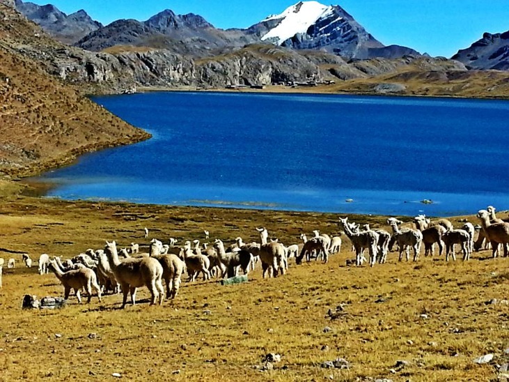 TO THE ENCOUNTER OF THE WIDOW - Imagen 9