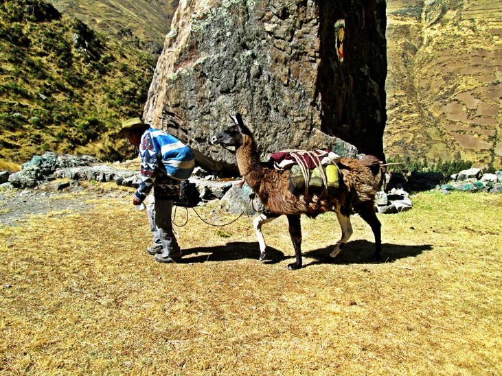 PISCHA PASS - Imagen 2