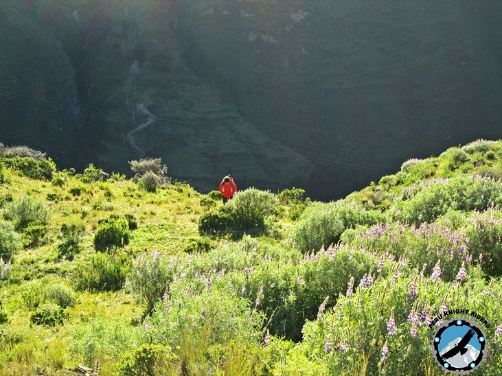 PISCHA PASS - Imagen 8