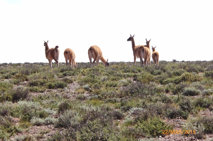 Discovery Photosafari