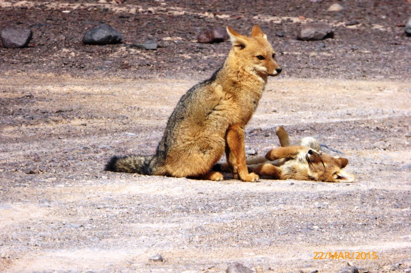 Discovery Photosafari - Imagen 4