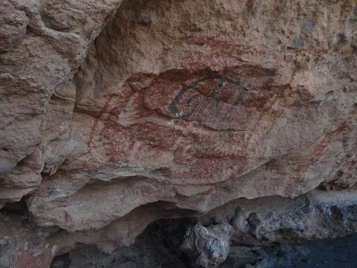 Discovery Photosafari - Imagen 5