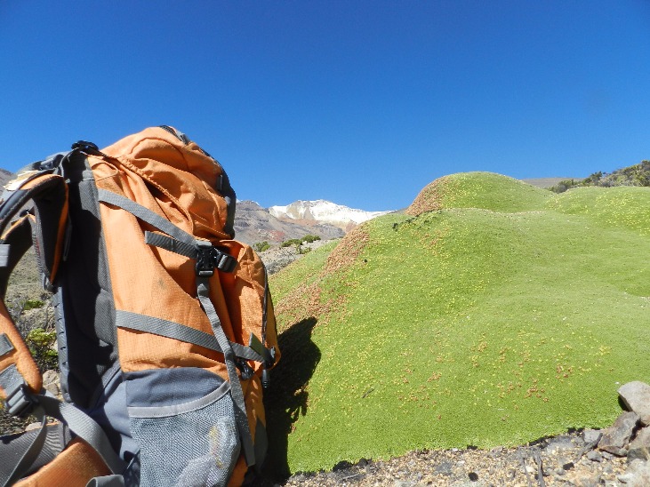 Nevado Barroso Summit - Imagen 4